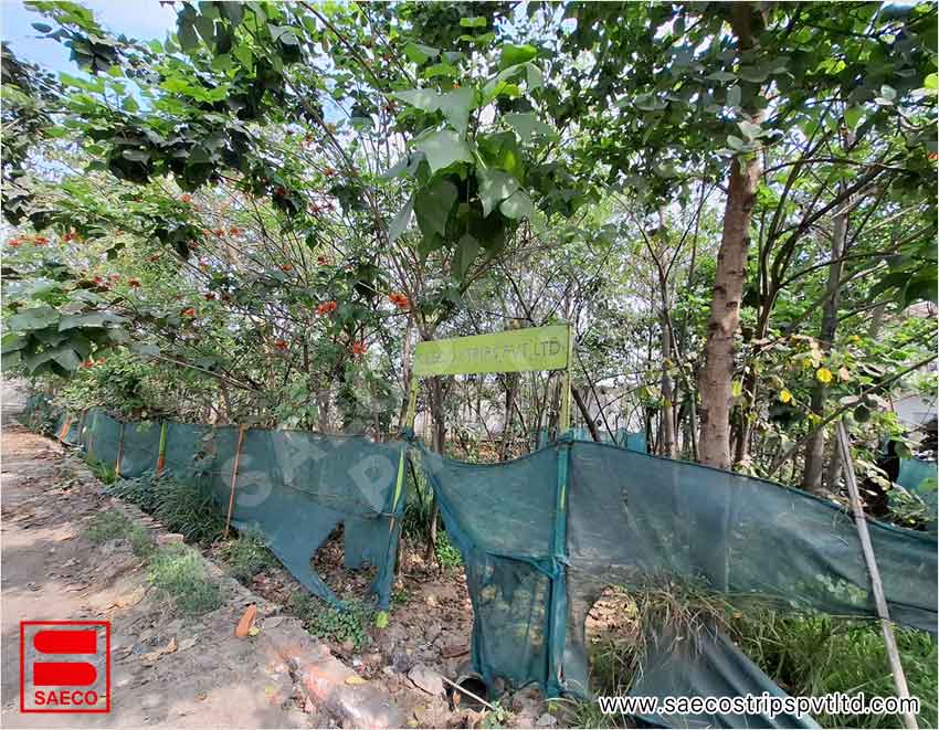 Saeco Strips Private Limited Environment Policy