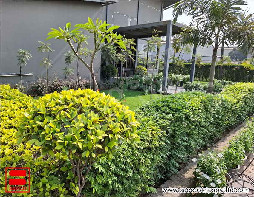 Saeco Strips Private Limited Environment Policy