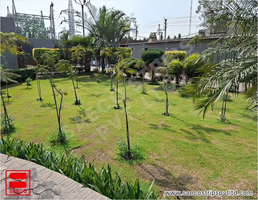 Saeco Strips Private Limited Environment Policy